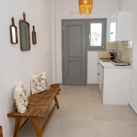 Studio Lefkes Kea Vourkárion Extérieur photo