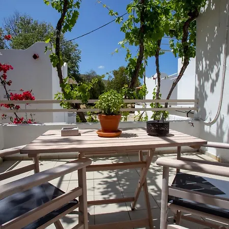 Studio Lefkes Kea Vourkárion Extérieur photo